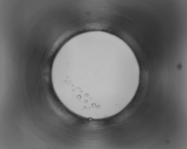X0000115810064200912241923