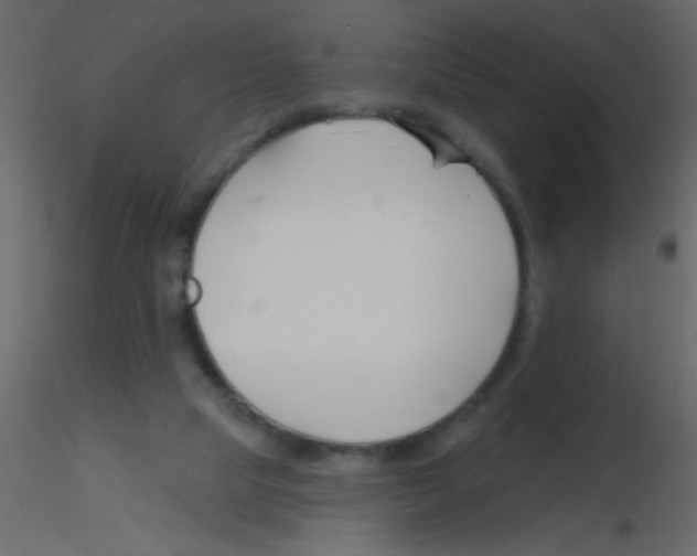 X0000115810065200912241923