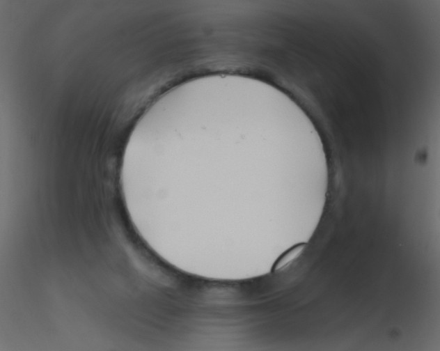 X0000115810066200912241923