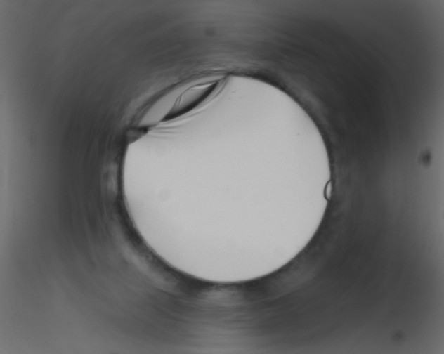 X0000115810067200912241923