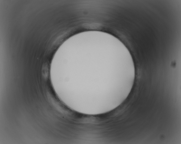 X0000115810069200912241923