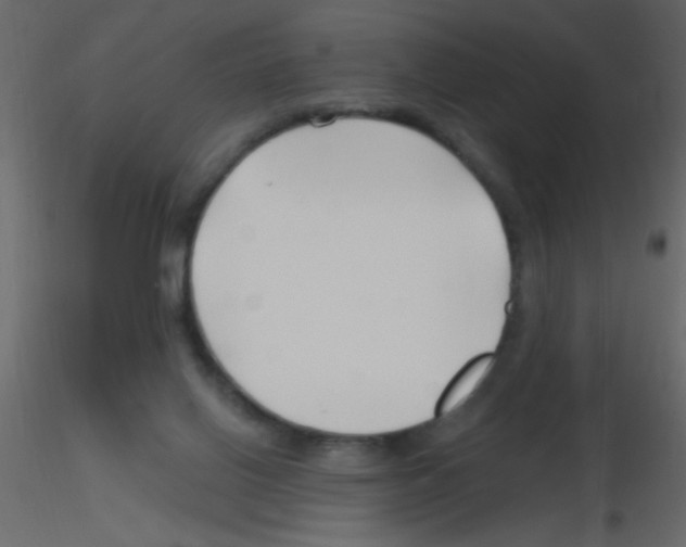 X0000115810070200912241923