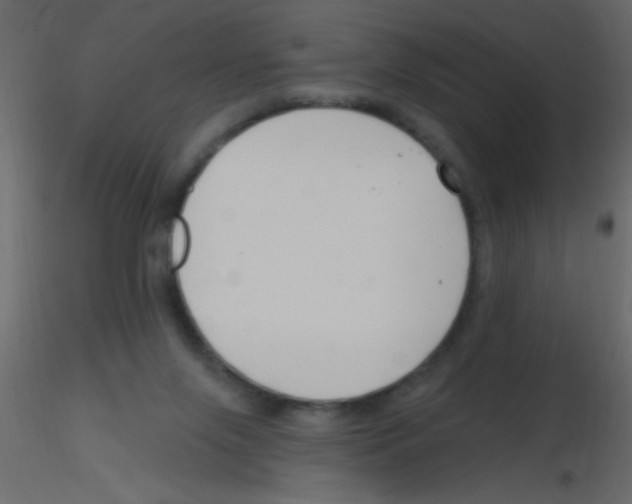 X0000115810071200912241923