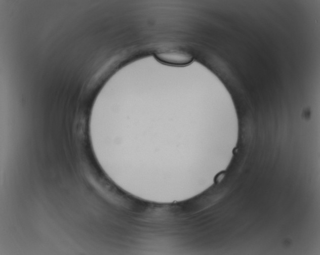 X0000115810072200912241923