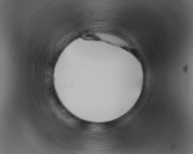 X0000115810073200912241923