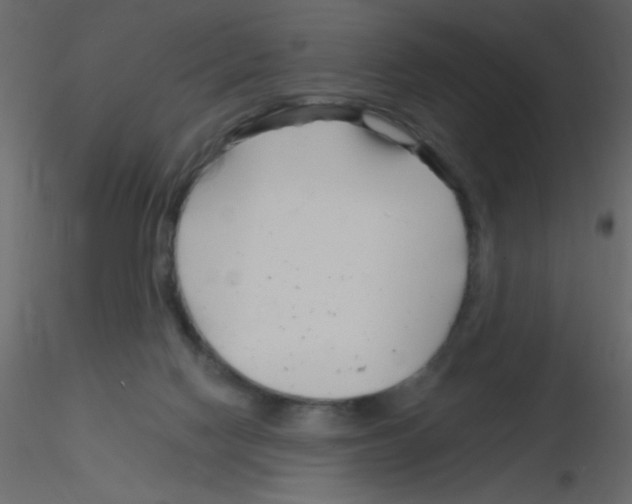 X0000115810074200912241923