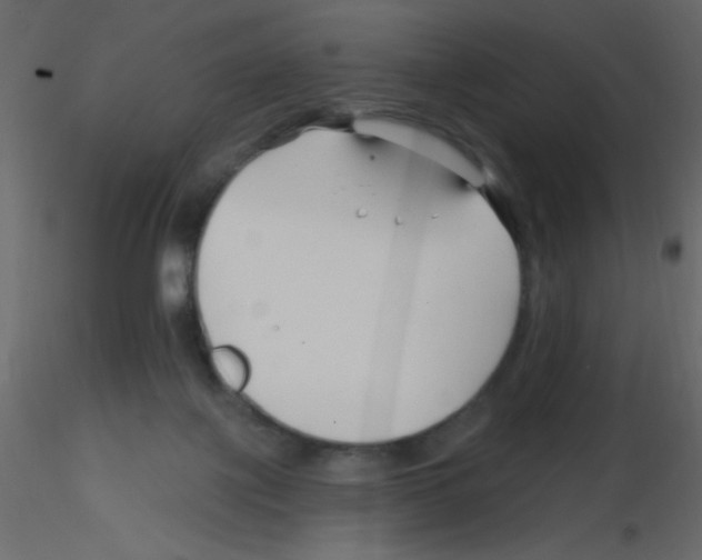 X0000115810075200912241923