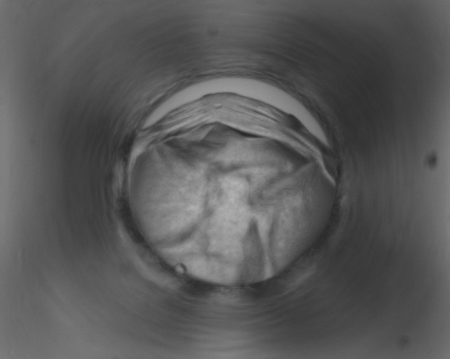 X0000115810076200912241923