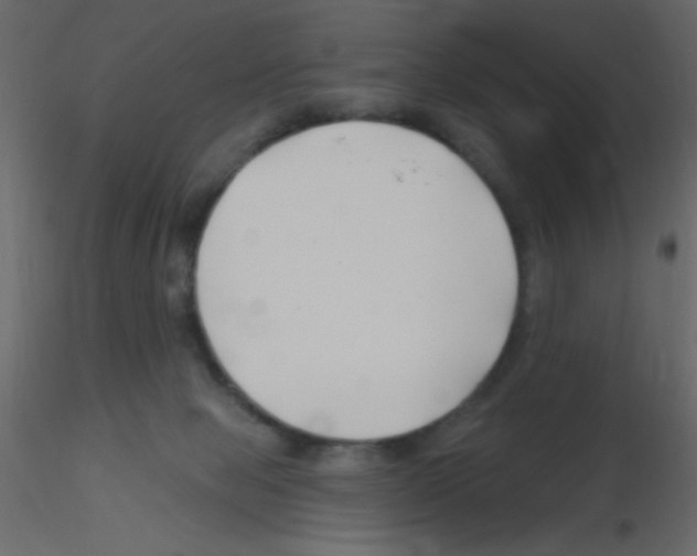 X0000115810077200912241923