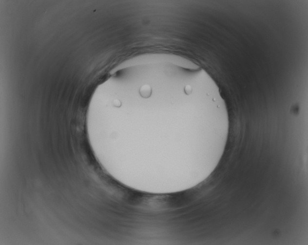 X0000115810078200912241923