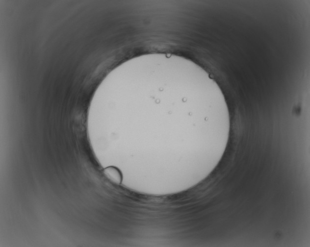 X0000115810079200912241923
