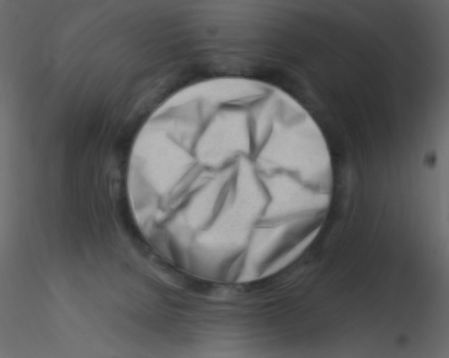 X0000115810080200912241923