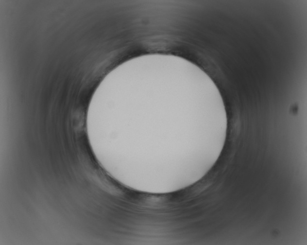 X0000115810081200912241923