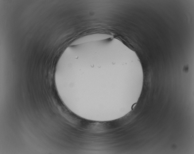 X0000115810082200912241923