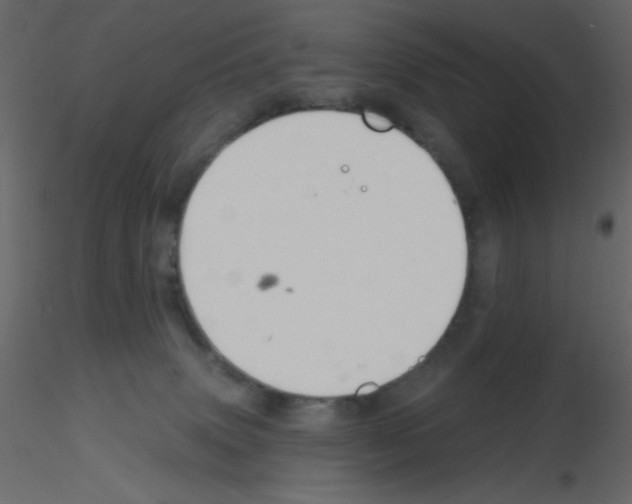 X0000115810083200912241923