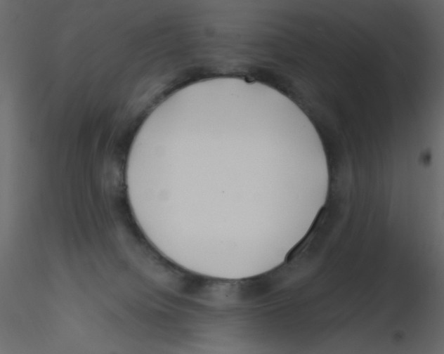 X0000115810084200912241923