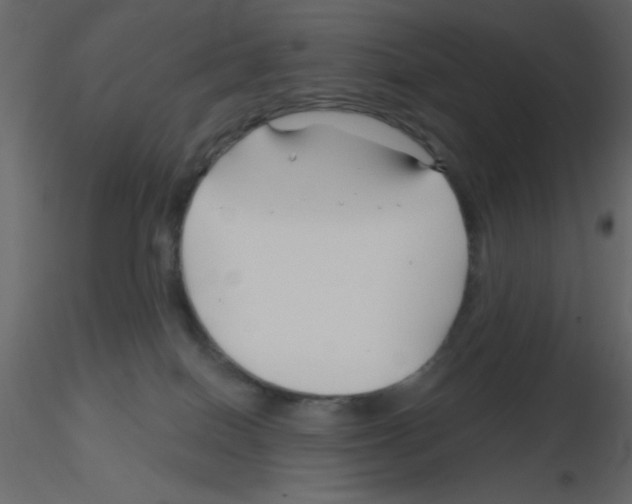 X0000115810086200912241923