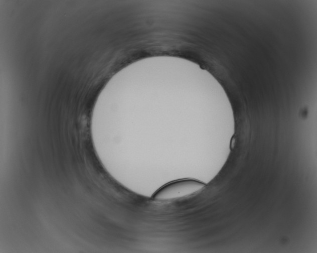 X0000115810087200912241923