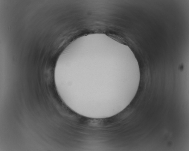 X0000115810088200912241923