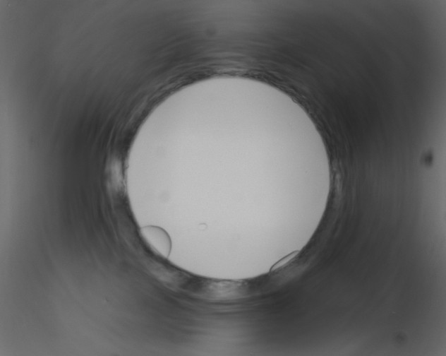 X0000115810089200912241923