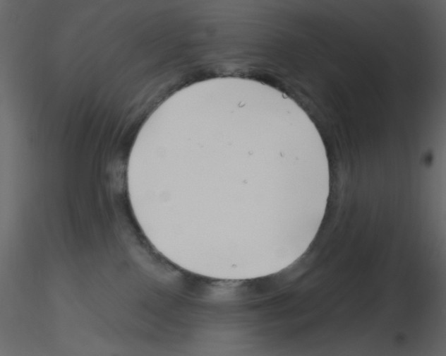 X0000115810090200912241923