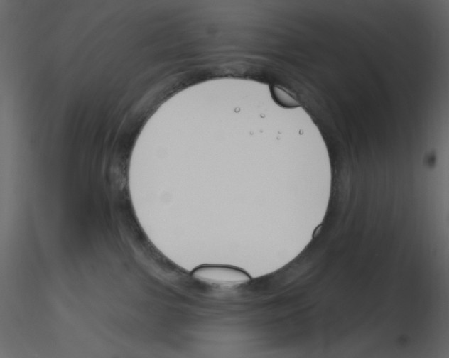 X0000115810091200912241923