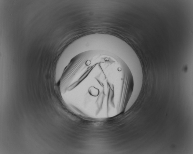 X0000115810092200912241923