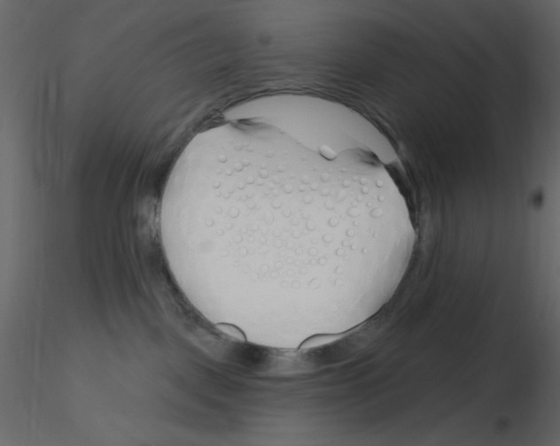 X0000115810093200912241923