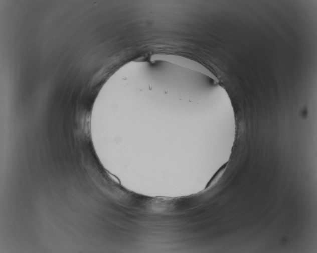 X0000115810094200912241923