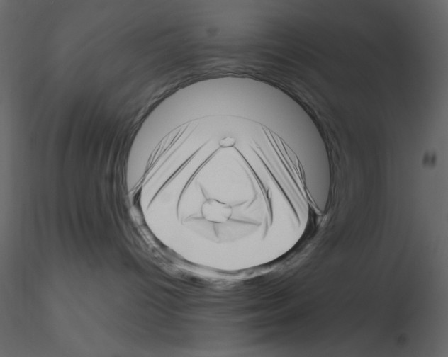 X0000115810096200912241923