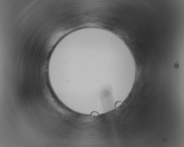 X0000115810098200912241922