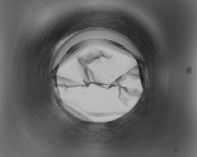 X0000115810099200912241922