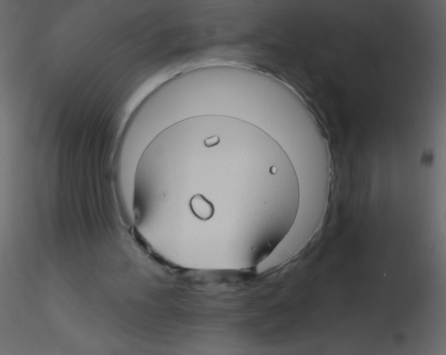 X0000115810100200912241922