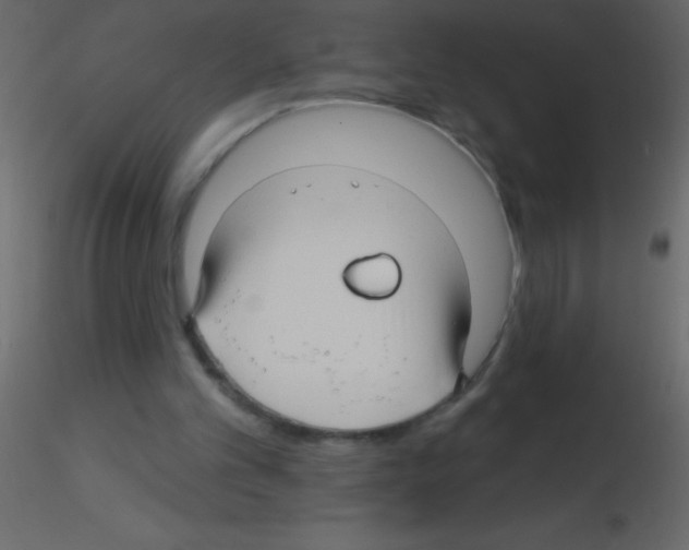 X0000115810101200912241922