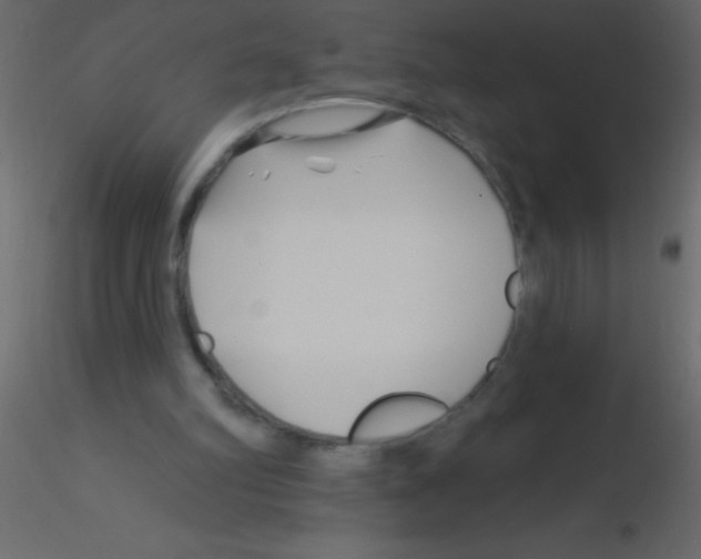 X0000115810102200912241922