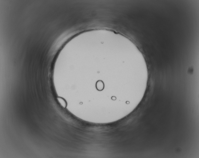 X0000115810103200912241922
