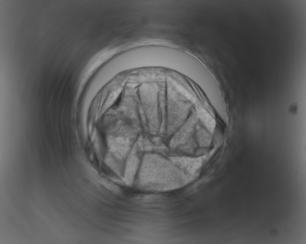 X0000115810104200912241922