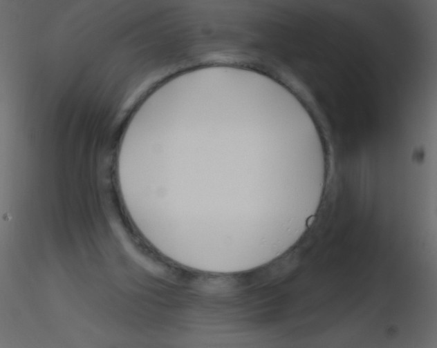 X0000115810106200912241922