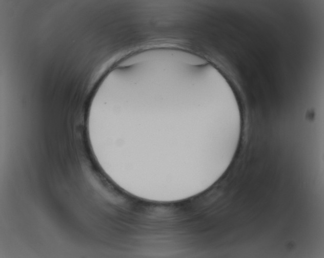 X0000115810107200912241922