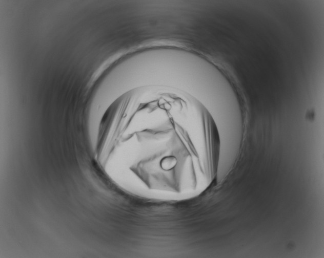 X0000115810108200912241922
