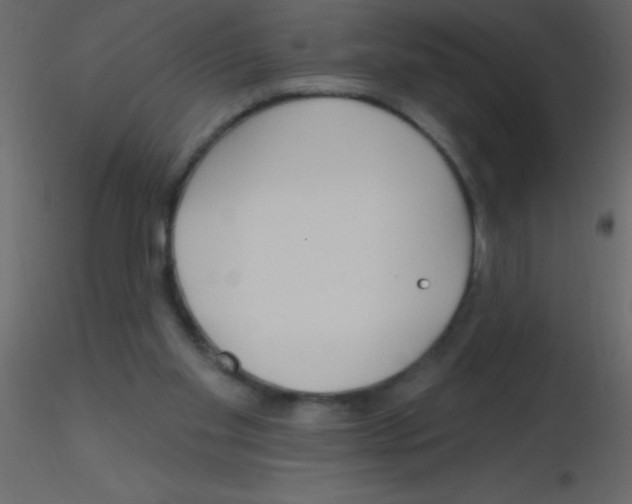 X0000115810109200912241922