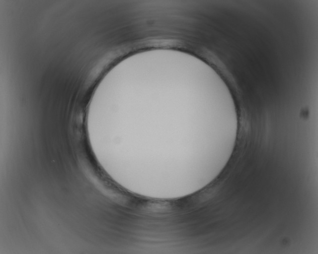 X0000115810110200912241922