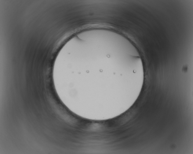 X0000115810111200912241922