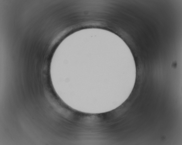 X0000115810112200912241922
