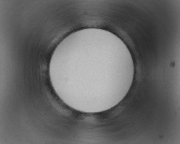 X0000115810113200912241922