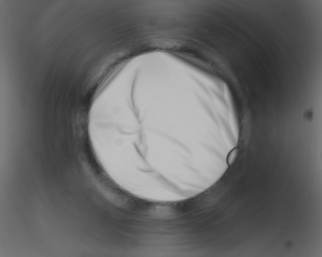 X0000115810114200912241922