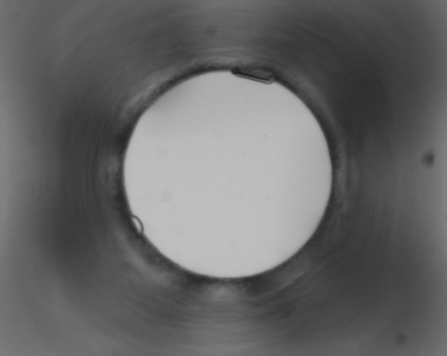 X0000115810115200912241922