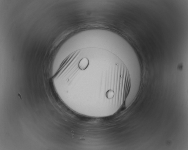 X0000115810116200912241922