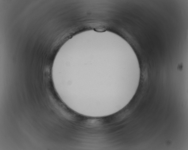 X0000115810117200912241922