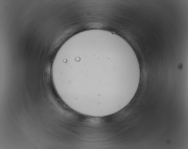 X0000115810118200912241922
